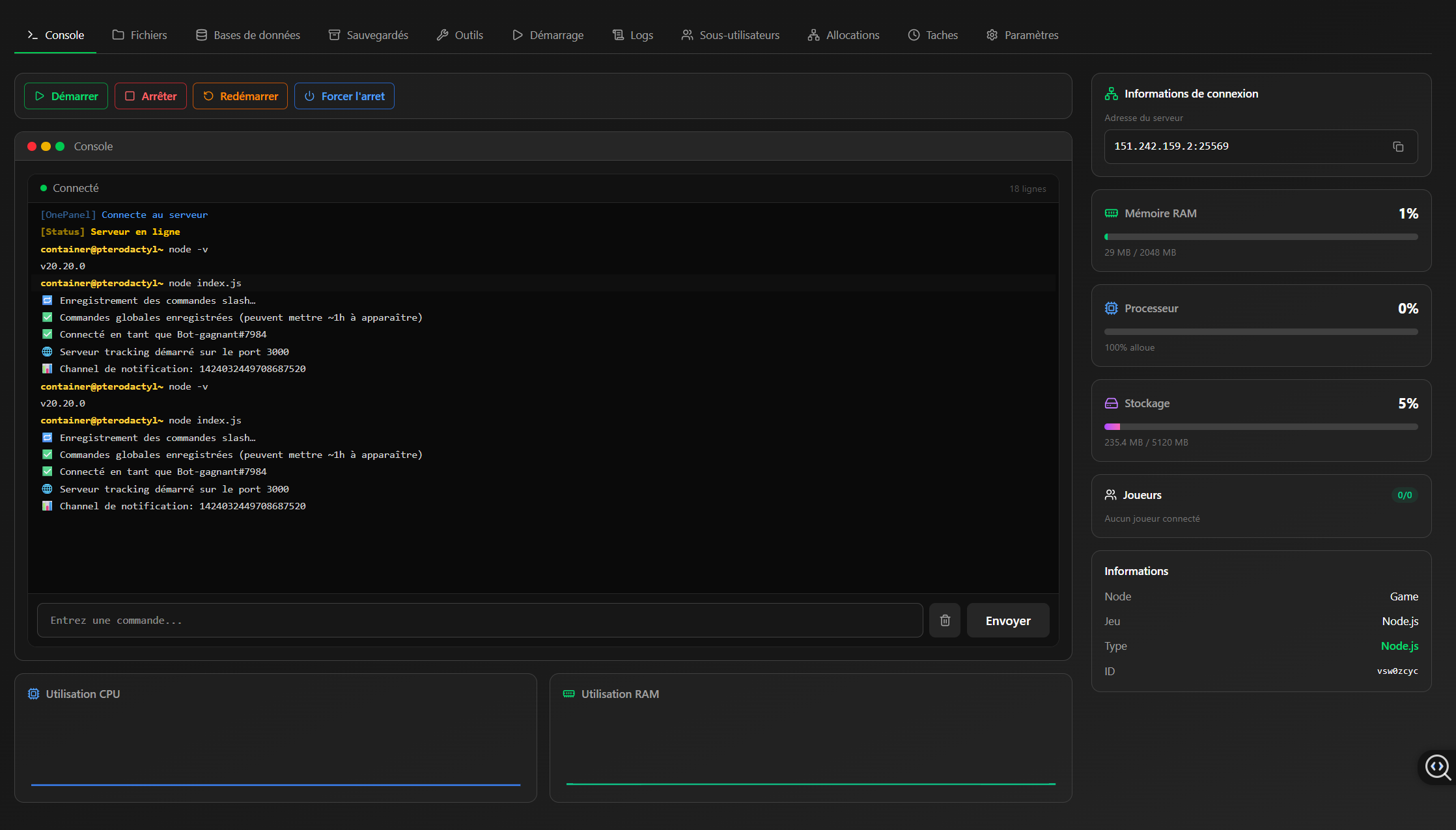 Panel OnePanel - Console